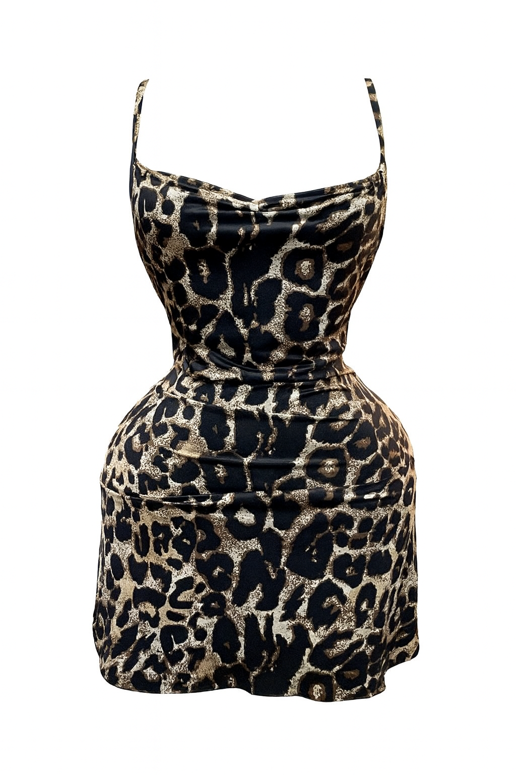 دريس تايجر مزود بفراشه من الضهر