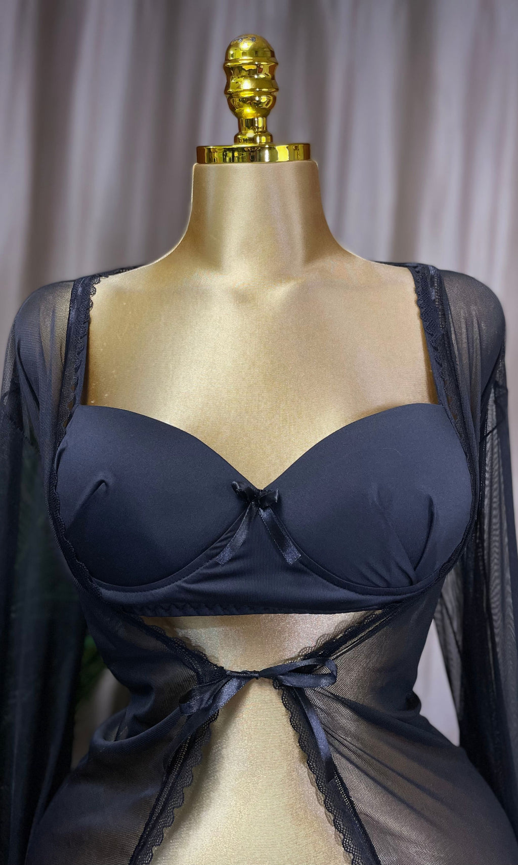 Long Two Piece Sheer Robe