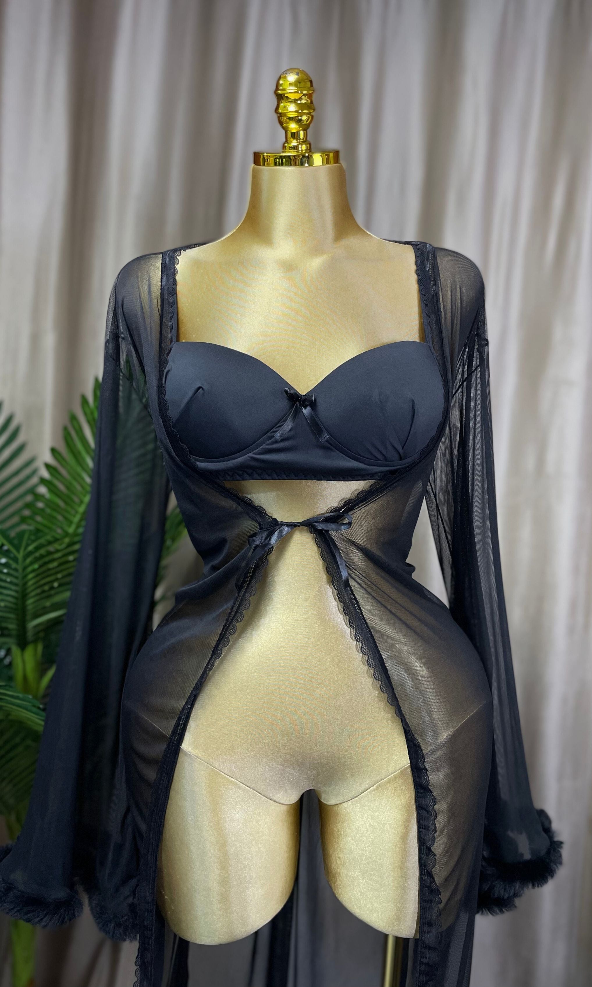 Long Two Piece Sheer Robe