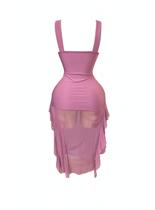 Sheer Hem Bodycon Dress