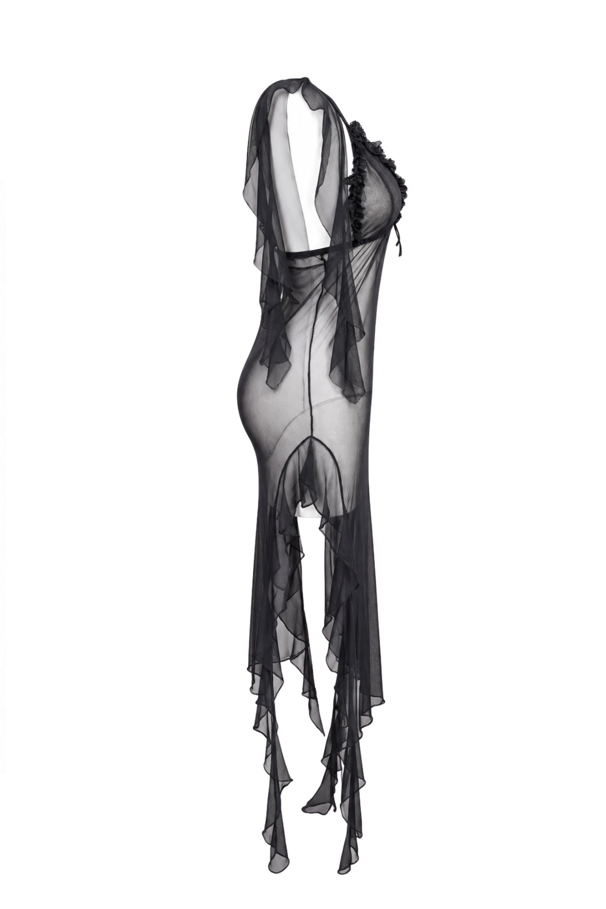 Long Sheer Lingerie