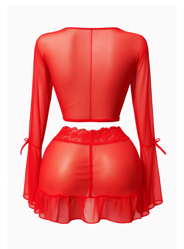 Lace Mesh Lingerie Set